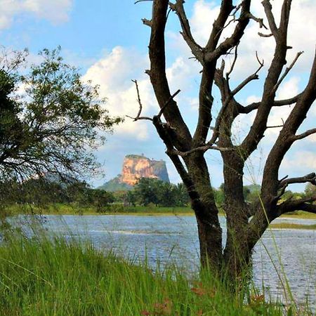 Rho Sigiriya Lake Edge Retreat Kibissa Exterior foto