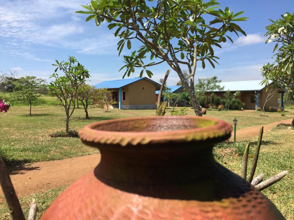 Rho Sigiriya Lake Edge Retreat Kibissa Exterior foto